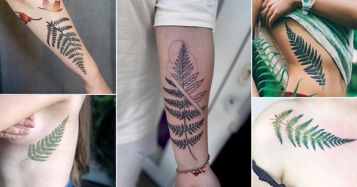 Fern forearm tattoo #fern #ferntattoo #forearmtattoo #nashvilletatt... |  Tattoos For Arm | TikTok