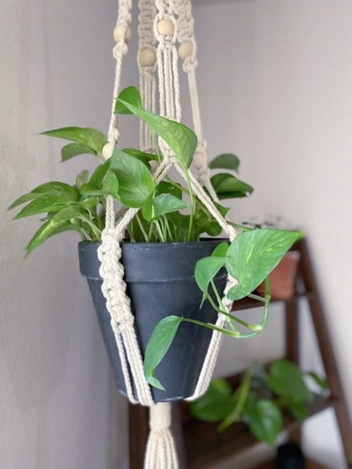 DIY Pothos Hanging Basket and Hanger 7