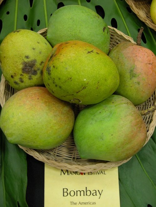 Sweetest Mango Varieties 12