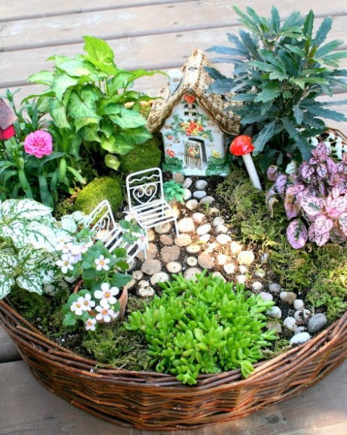 DIY Tabletop Indoor Fairy Garden 15
