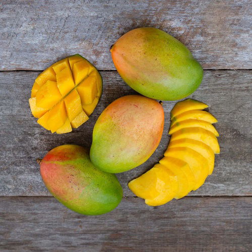 Mango Varieties in the World