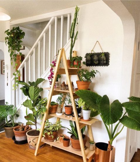 12 Genius Items to Create More Space for Indoor Plants