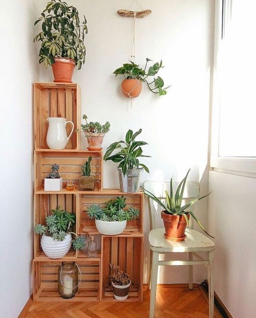 Rustic Wooden Crate Planters to grow more Plant