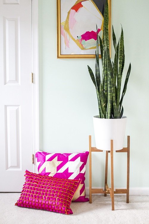 Snake Plant Stand 7