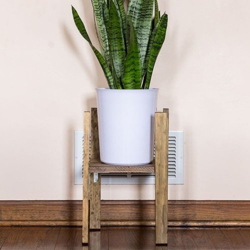 Snake Plant Stand 3