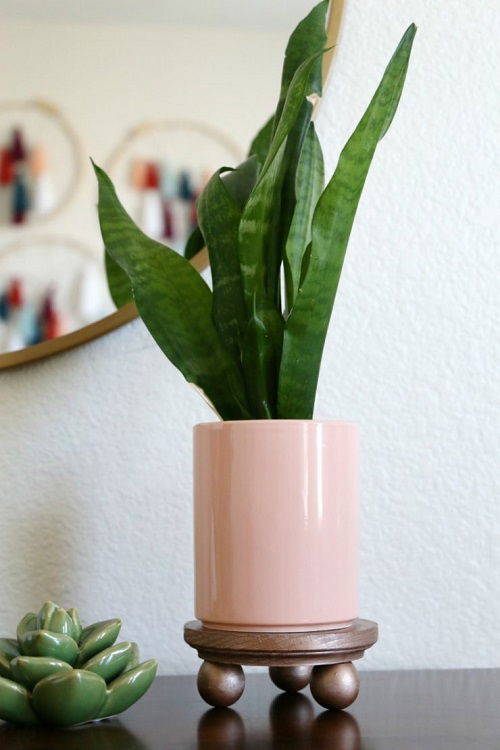 cute indoor plant stand idea