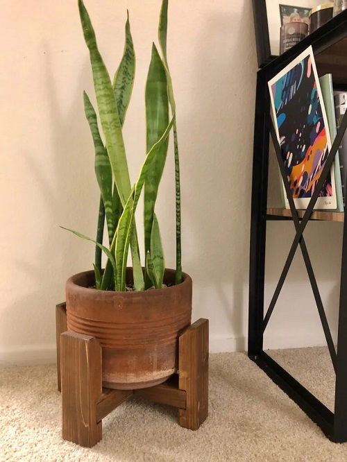 how to make snake plant stand