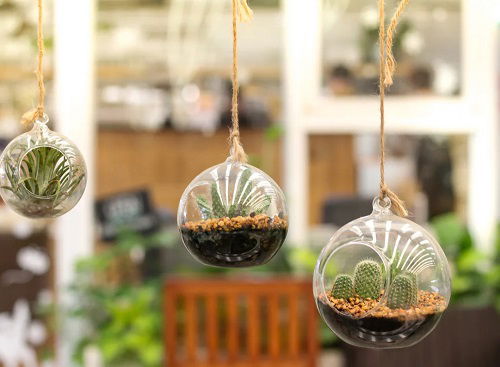 Hang Houseplants in different ways 8