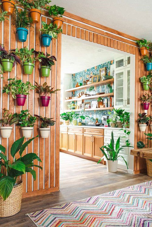 Hang Houseplants in different ways 