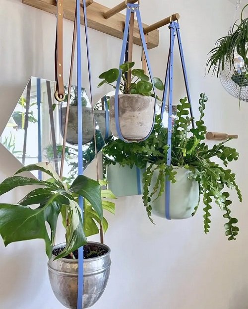 Quirky Ways to Hang Houseplants 3