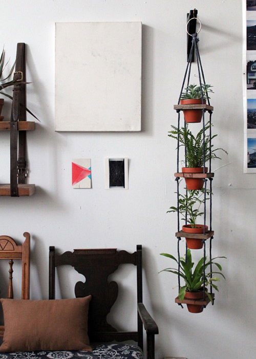 Hang Houseplants in different ways 4