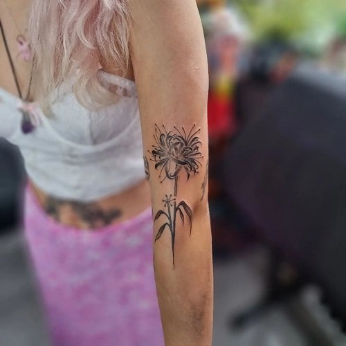 Shaded Spider Lily Ink