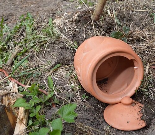Broken Clay Pot House for frog