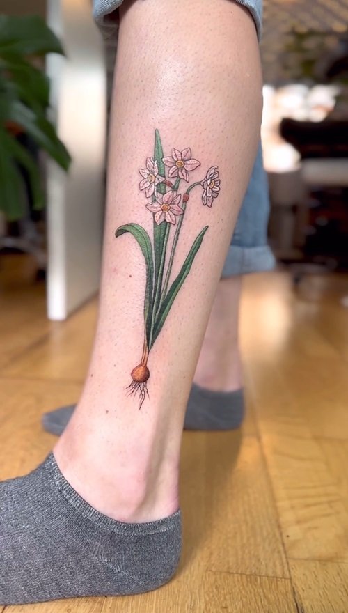 Vintage Narcissus Flower with Bulb Ink