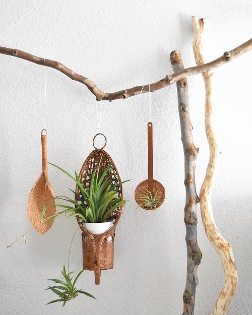 Quirky Ways to Hang Houseplants 7
