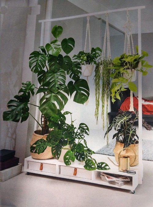 Perfect Plant Room Divider