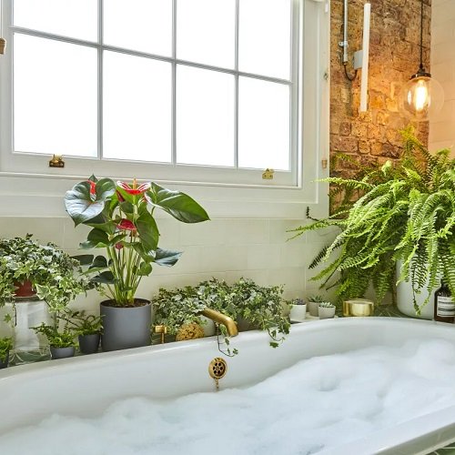 Bathroom Greenery: Spa-Like Atmosphere