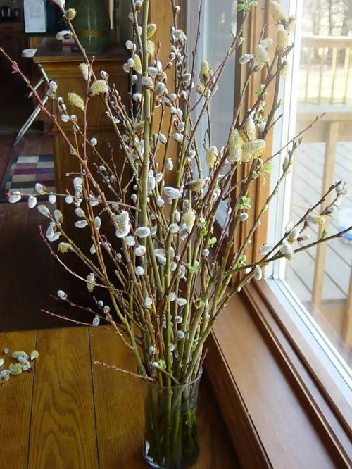 Pussy Willow Branches Decor Ideas9