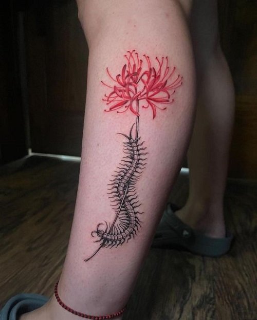 Centipede and Spider Lily Piece