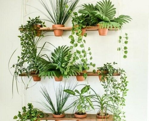 Ways to Create a Vertical Garden Indoors 9