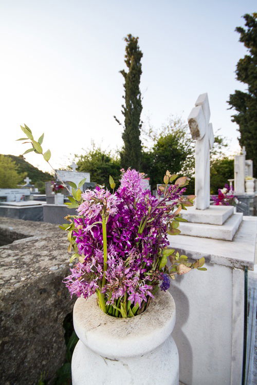Orchid Flowers for Graves