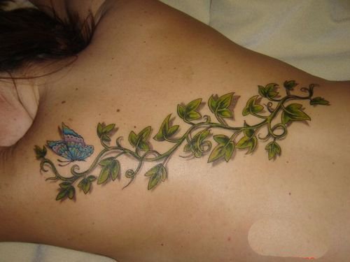 Poison Ivy and Butterfly on Back