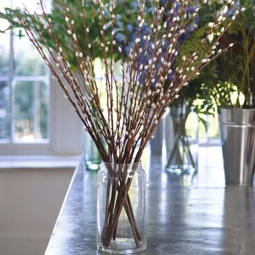 Pussy Willow Branches Decor Ideas 7