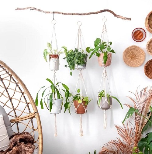 Twig to Hang Pots Indoor Vertical Garden 
