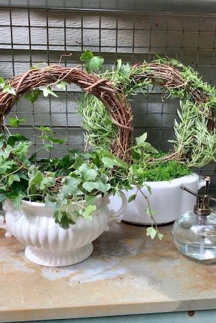 DIY Indoor Plant Wreath 17