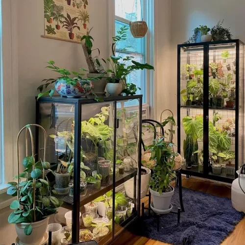 Add Cabinets of Plants