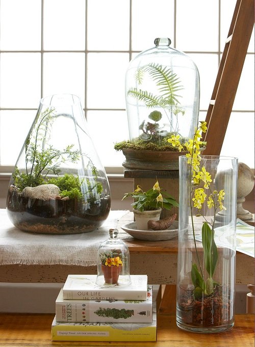 Ideas to Create Your Own Air-Purifying Station with Indoor Plants