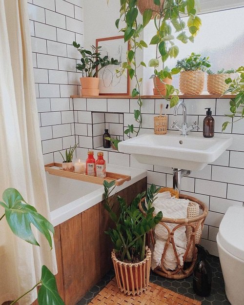 Styling Tips for Bathroom Plants