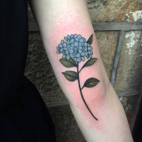 Blue Hydrangea tattoo ideas