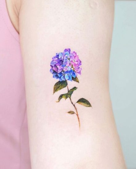 52 Hydrangea Tattoo Meaning and Ideas | Balcony Garden Web