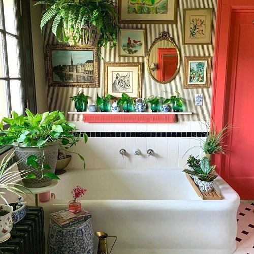 Tips to Keep Plants Healthy in a Bathroom 2