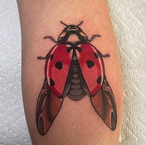 Ladybug Preparing for Flight Tattoo 25