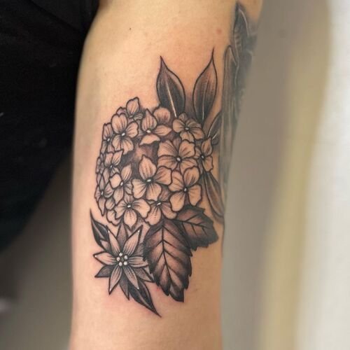 Hydrangea Tattoo in Black and Gray