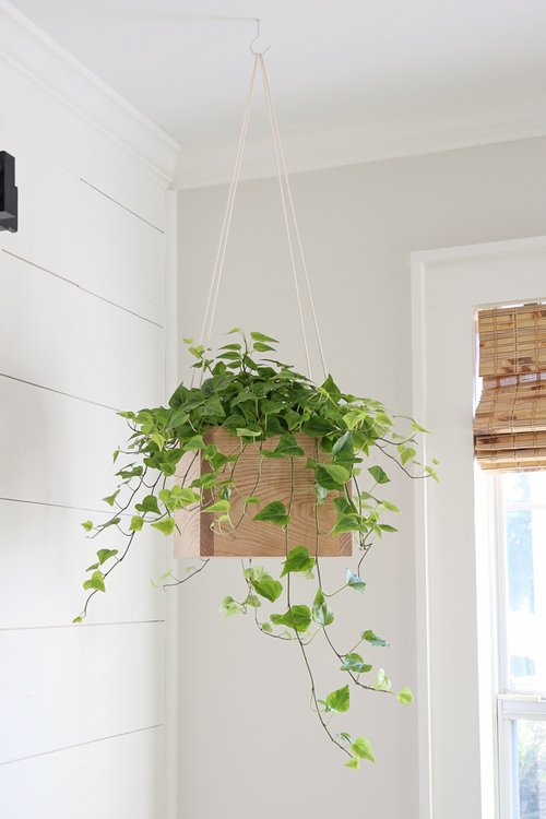 DIY Hanging Corner Planter!