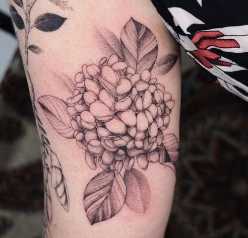Brushstroke Hydrangea Tattoo