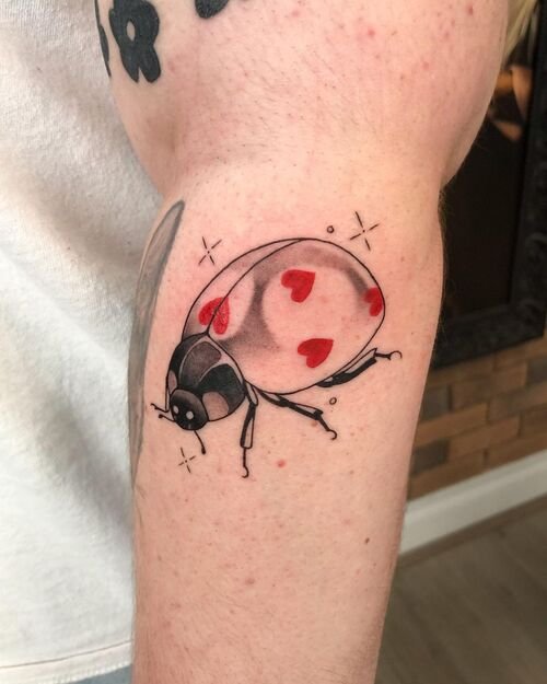 Ladybug with Hearts on the Body