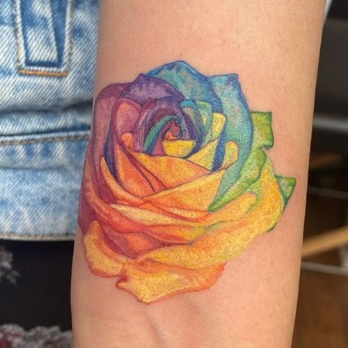 Pastel Colored Rose
