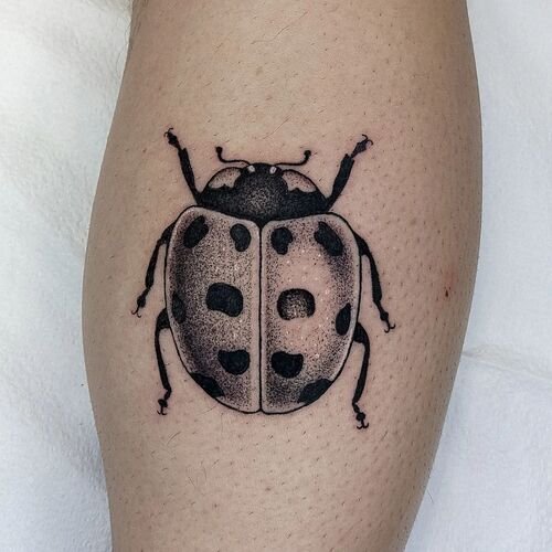 Ladybug Black and Gray Ladybug Ink tattoo