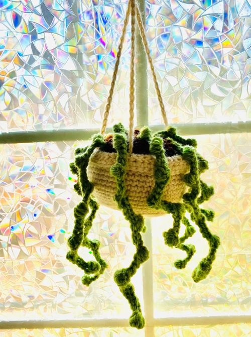 Crochet Basket and String of Pearls Succulent
