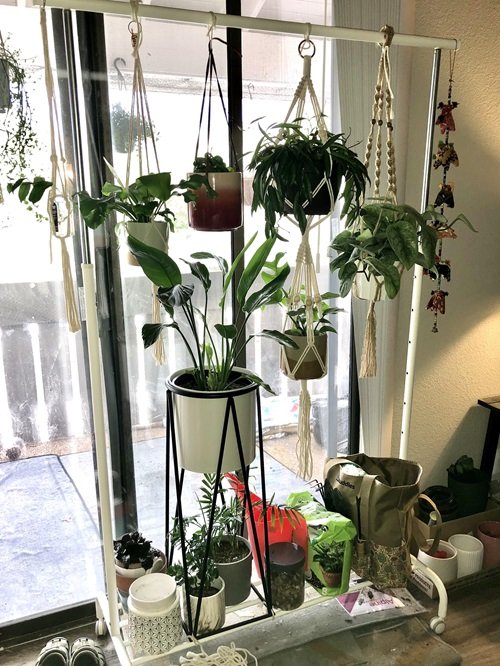 DIY Hanging Plant Stand 9
