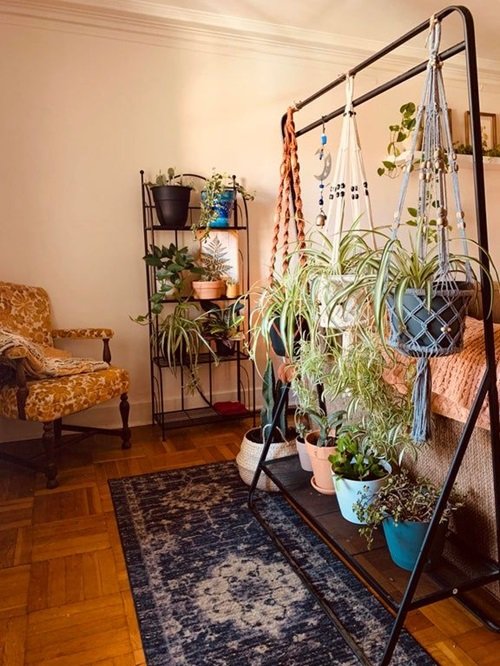 Diy Hanging Plant Stand from Clothes Rack