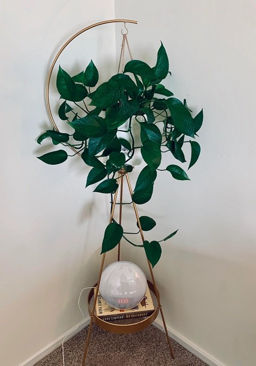 DIY Hanging Plant Stand 3