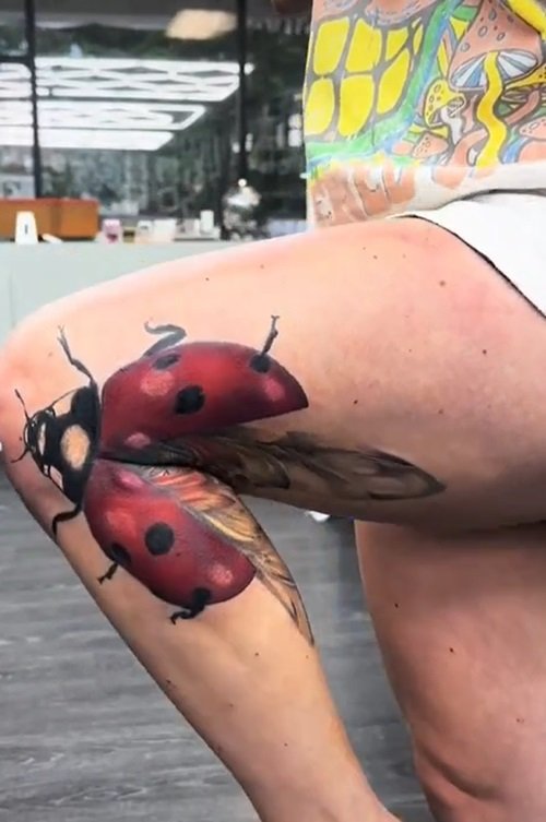 Ladybug on the Leg tattoo ideas