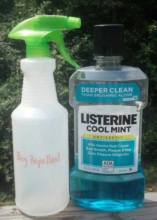 Listerine as Bug Repellent 2
