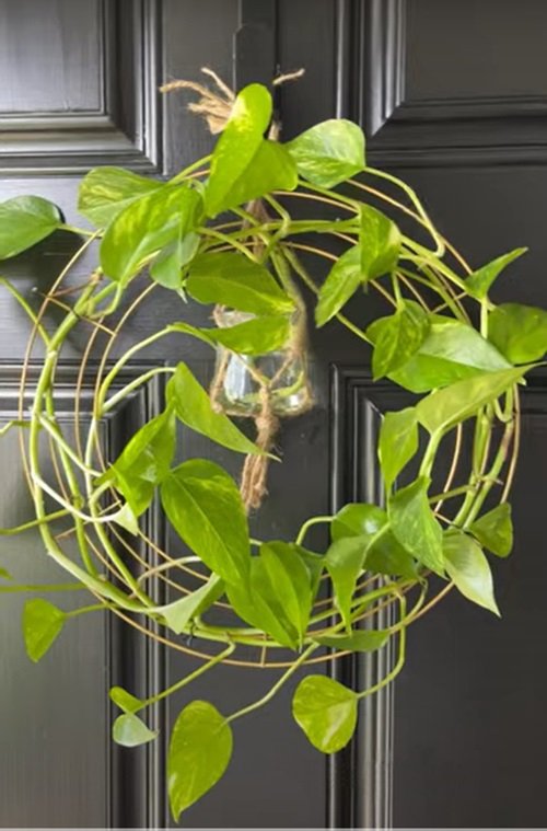 Beautiful DIY Pothos Wreath Ideas