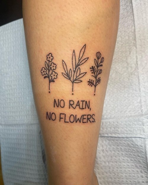 No Rain No Flowers with small plant